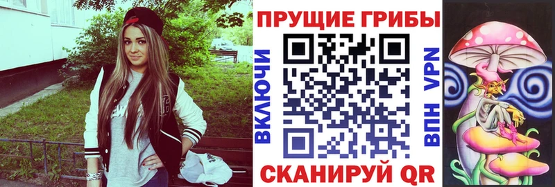 продажа наркотиков  Урус-Мартан  mega вход  Псилоцибиновые грибы ЛСД 